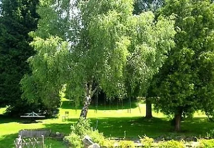 La Clairiere 2* Chambon-sur-Dolore